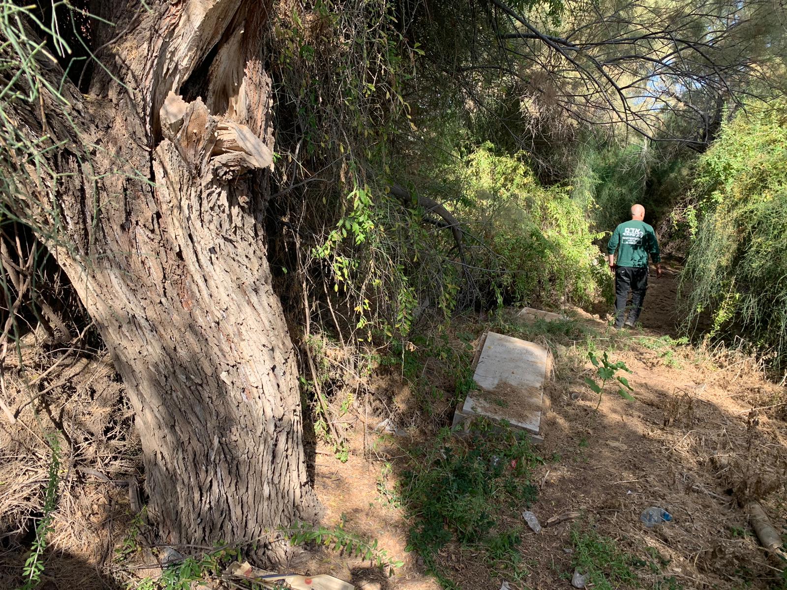 WhatsApp Image 2021-05-31 at 10.49.00 AM (1).jpeg